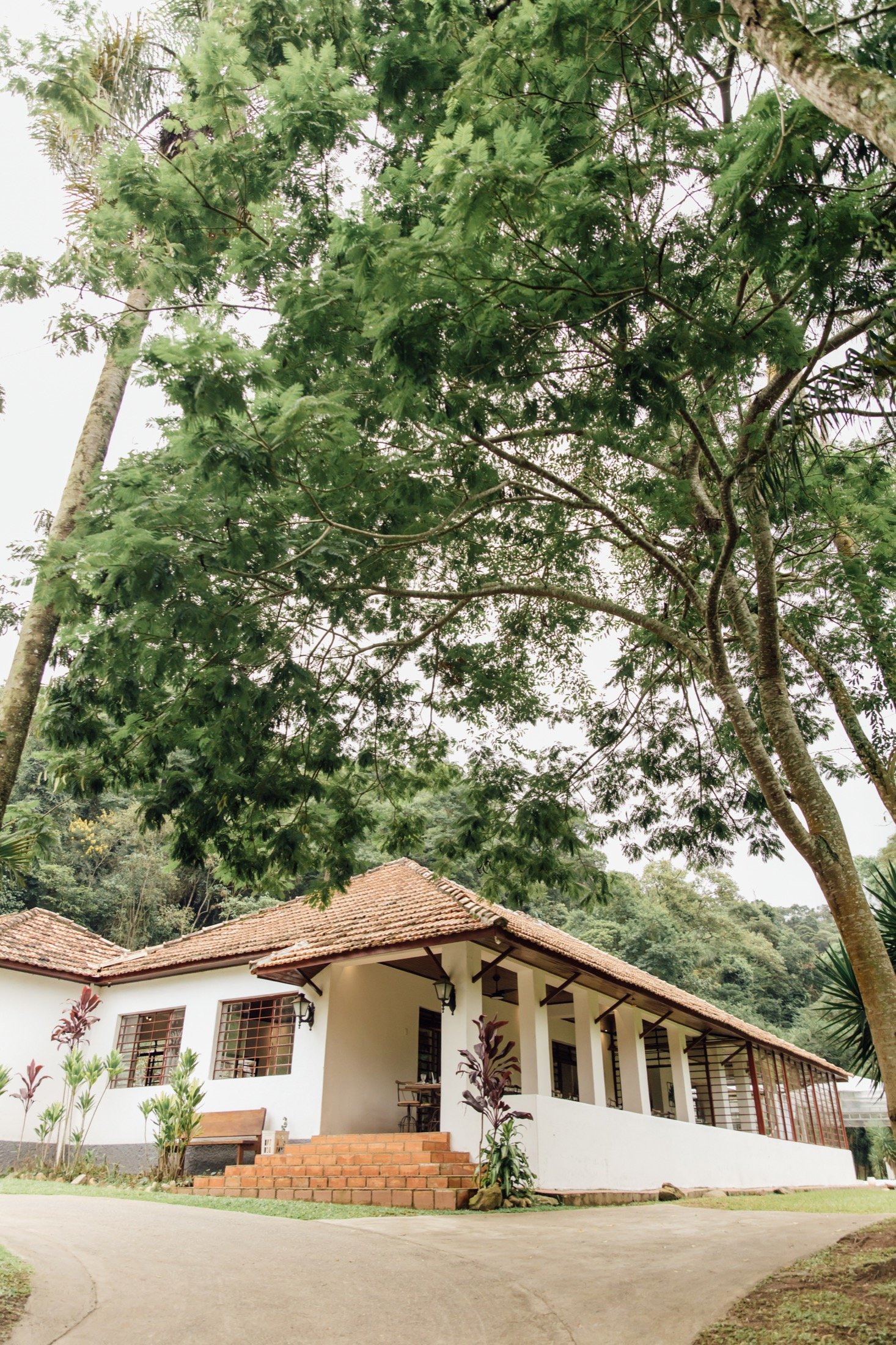 Casarão da Fazenda Moinho entre as árvores